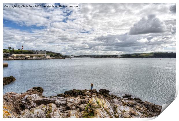 View towards the Plym Print by Chris Day