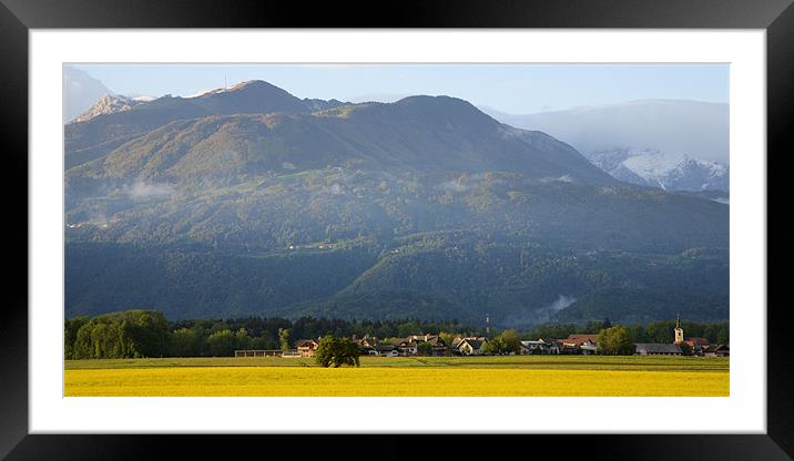 rapeseed field with Kamnik Alps Framed Mounted Print by Ian Middleton