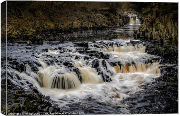 Low Force Waterfall, Teesdale Canvas Print by Phillip Dove LRPS