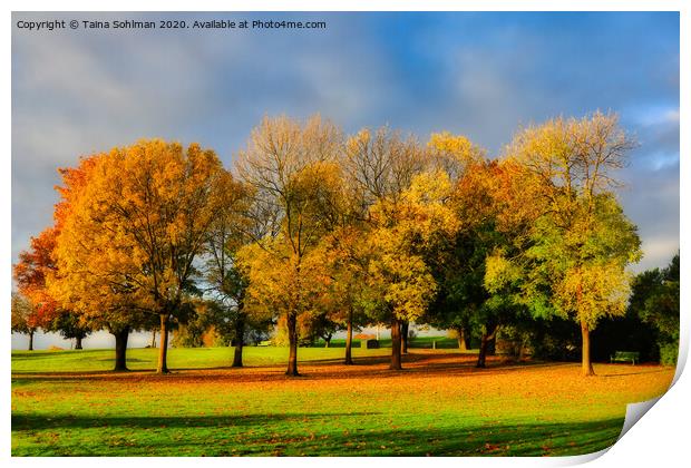 Beautiful Colours of Autumn in the Park Print by Taina Sohlman