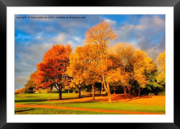 Autumnal Trees in the Park Framed Mounted Print by Taina Sohlman