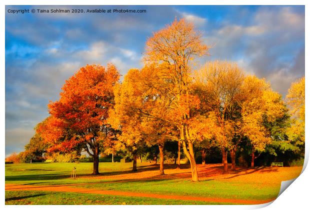 Autumnal Trees in the Park Print by Taina Sohlman