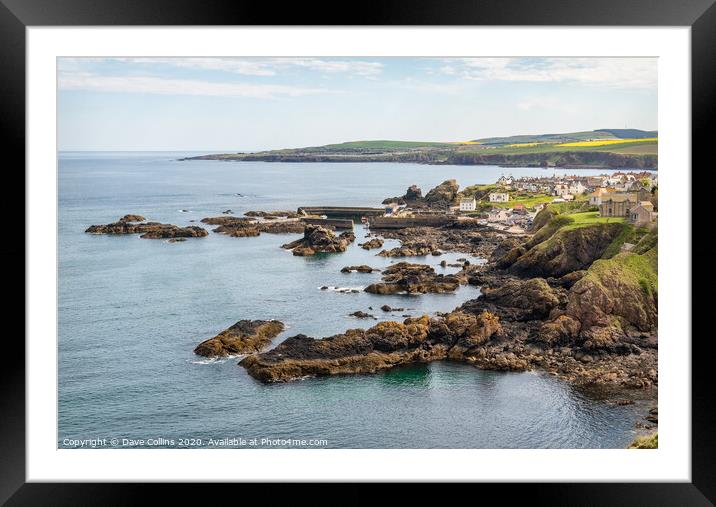 St Abbs, Scottish Borders, Scotland Framed Mounted Print by Dave Collins