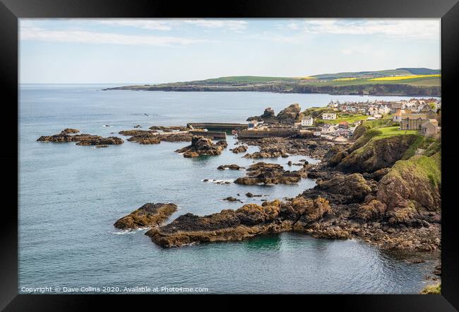 St Abbs, Scottish Borders, Scotland Framed Print by Dave Collins