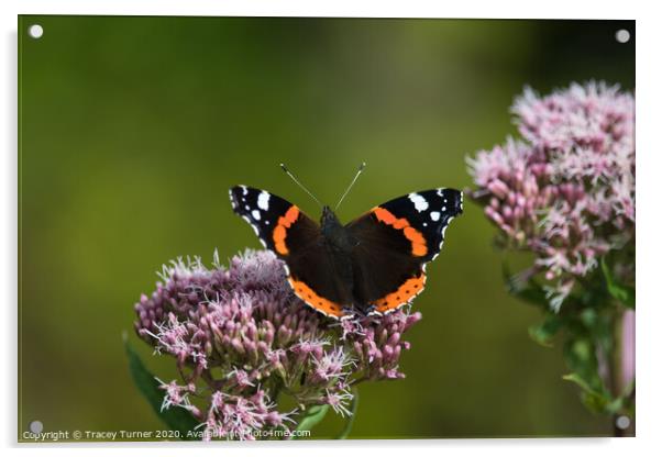 Red Admiral Butterfly on Hemp Acrylic by Tracey Turner