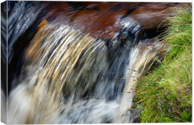 Clear water in a moorland stream Canvas Print by Andrew Kearton