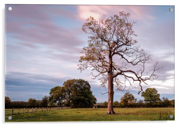 Tree in Field Acrylic by Mark Jones