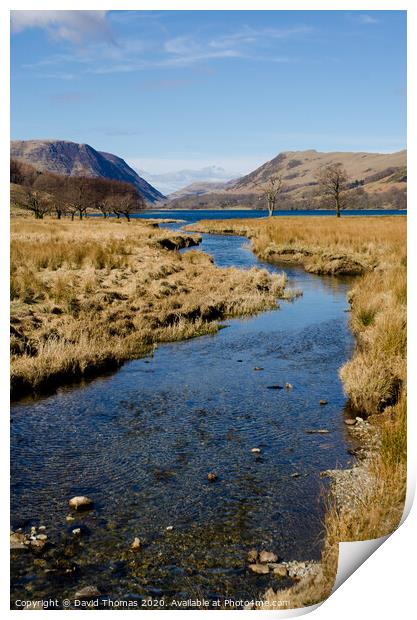 Serenity in Buttermere Print by David Thomas