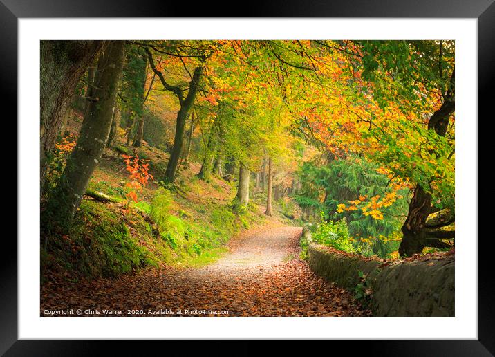Woodland lane in the autumn colour Framed Mounted Print by Chris Warren