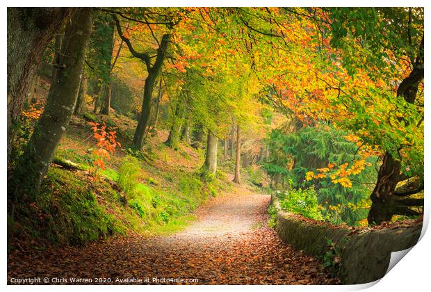 Woodland lane in the autumn colour Print by Chris Warren