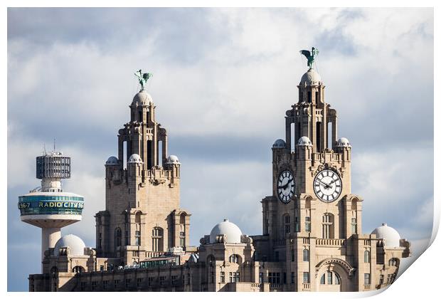 Looking up at the Royal Liver Building Print by Jason Wells