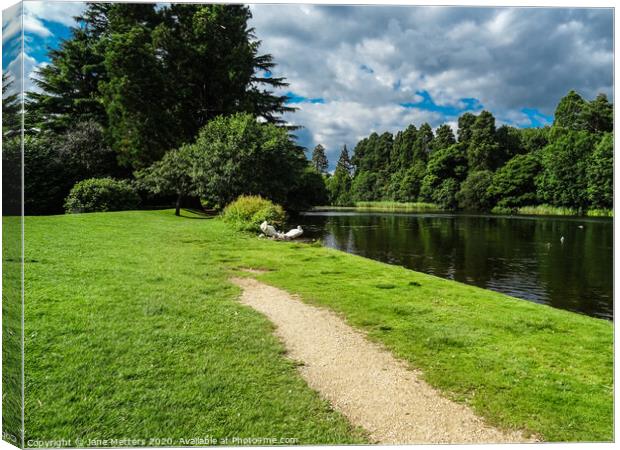 Tredegar Park  Canvas Print by Jane Metters