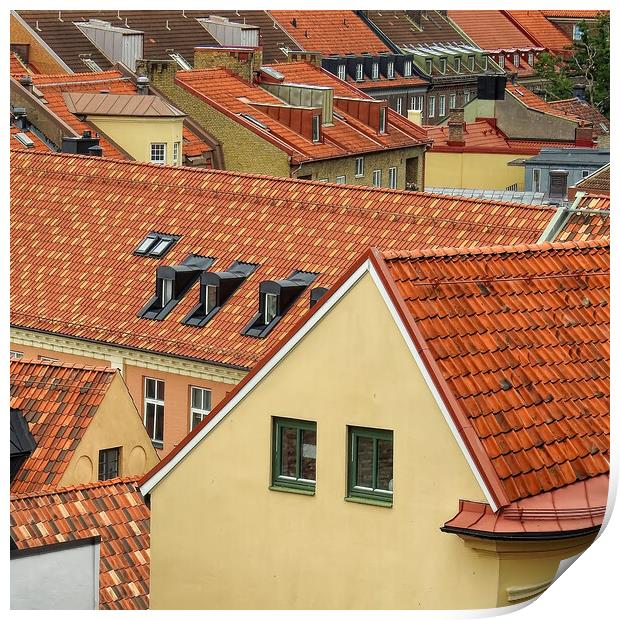 Helsingborg Elevated View of its Rooftops Print by Antony McAulay