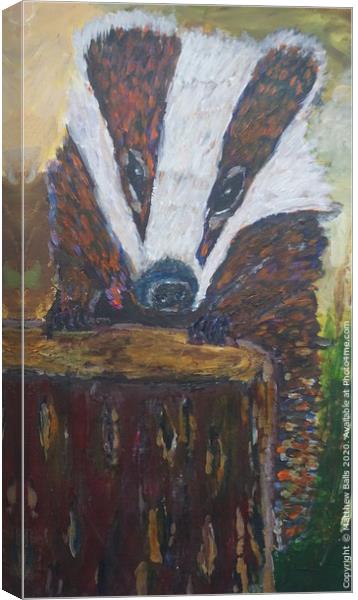 Feeding time for badger Canvas Print by Matthew Balls
