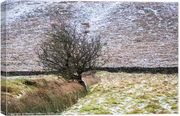 Tree, Vale of Edale, Derbyshire Canvas Print by Martyn Williams