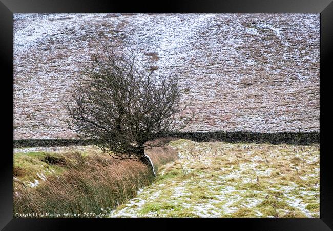 Tree, Vale of Edale, Derbyshire Framed Print by Martyn Williams