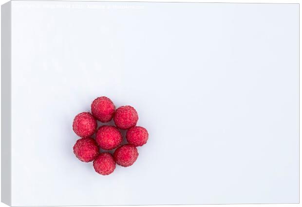 Raspberries are arranged in a circle on a light background Canvas Print by Sergii Petruk