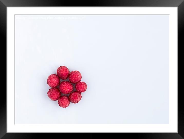 Raspberries are arranged in a circle on a light background Framed Mounted Print by Sergii Petruk