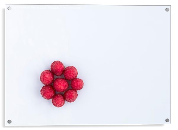 Raspberries are arranged in a circle on a light background Acrylic by Sergii Petruk