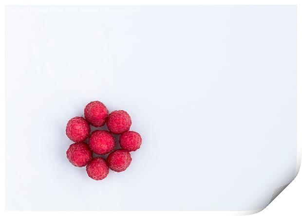Raspberries are arranged in a circle on a light background Print by Sergii Petruk