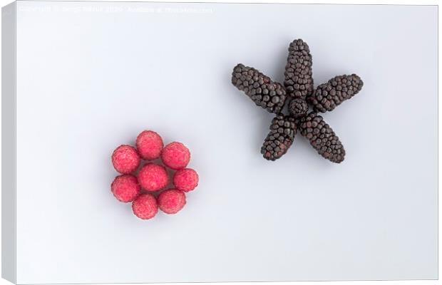Raspberry and a big black blackberry are arranged diagonally on a light background Canvas Print by Sergii Petruk
