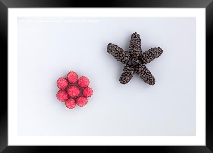 Raspberry and a big black blackberry are arranged diagonally on a light background Framed Mounted Print by Sergii Petruk