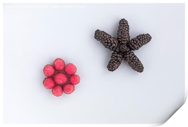 Raspberry and a big black blackberry are arranged diagonally on a light background Print by Sergii Petruk