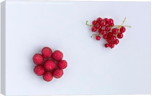Raspberries and red currants are located diagonally on a light background Canvas Print by Sergii Petruk