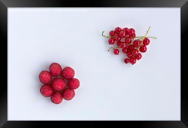Raspberries and red currants are located diagonally on a light background Framed Print by Sergii Petruk