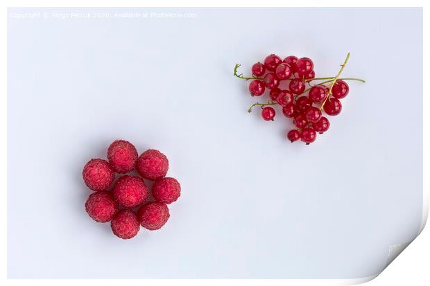 Raspberries and red currants are located diagonally on a light background Print by Sergii Petruk