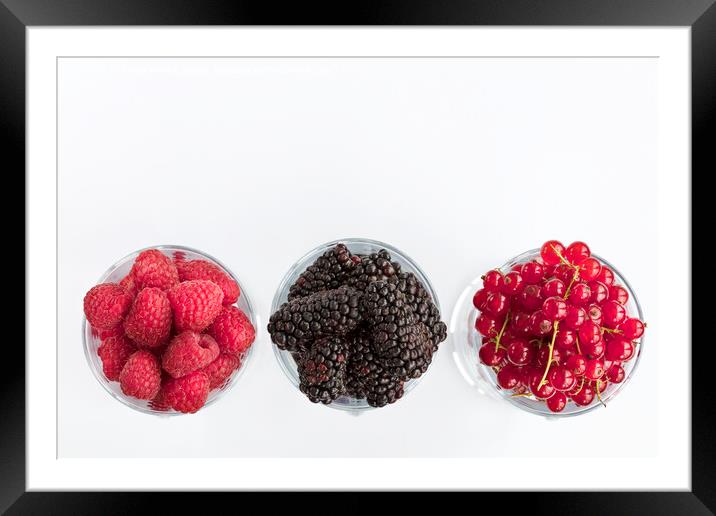 Raspberry, a big black blackberry and red currant are located in clear glass on a light background Framed Mounted Print by Sergii Petruk