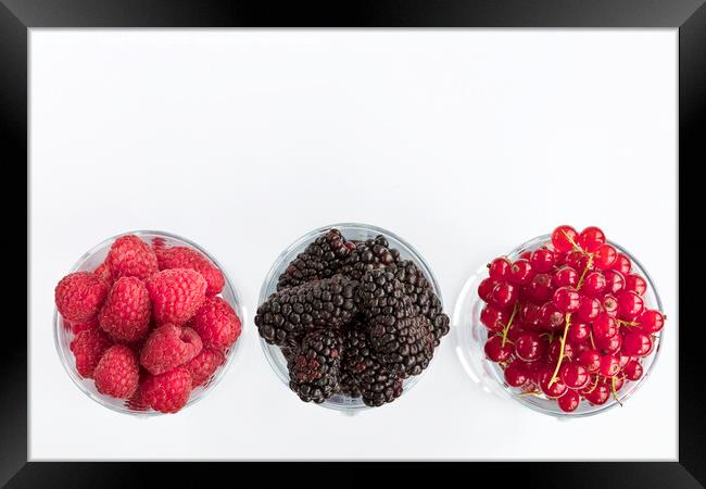 Raspberry, a big black blackberry and red currant are located in clear glass on a light background Framed Print by Sergii Petruk