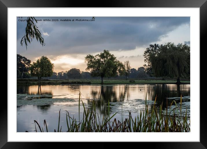 Early morning view at Bushy Park Framed Mounted Print by Kevin White
