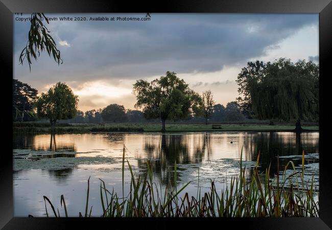 Early morning view at Bushy Park Framed Print by Kevin White