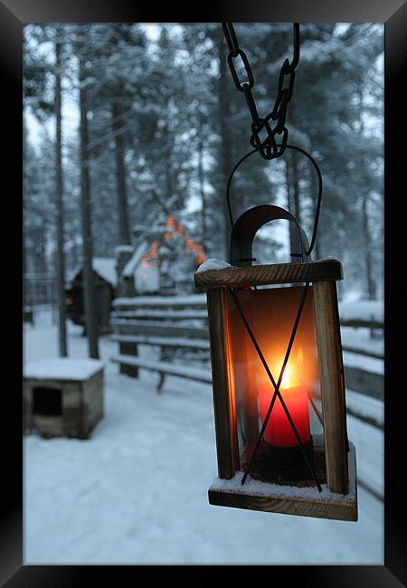 Lantern Framed Print by Steve Brand