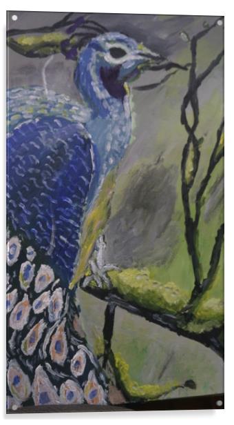 Mr Peacock Acrylic by Matthew Balls