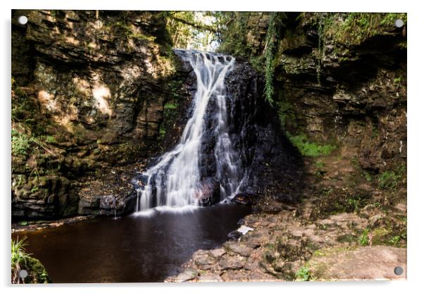 Hareshaw Linn Acrylic by Alf Damp