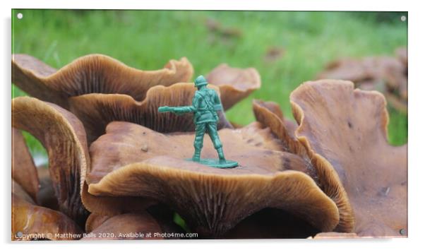 Toy soldier Acrylic by Matthew Balls