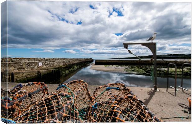 St Andrews harbour Canvas Print by alan bain