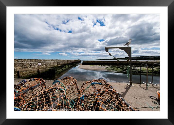St Andrews harbour Framed Mounted Print by alan bain