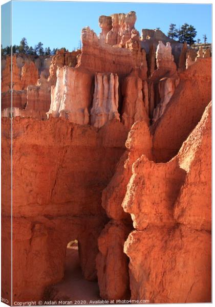 Bryce Canyon Gateway   Canvas Print by Aidan Moran