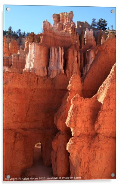 Bryce Canyon Gateway   Acrylic by Aidan Moran