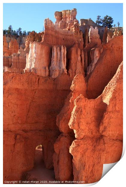 Bryce Canyon Gateway   Print by Aidan Moran