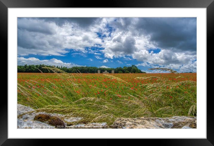 Poppy field Framed Mounted Print by Tracey Turner