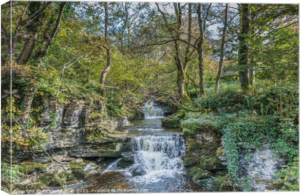 Cray Gill, Wharfedale, Yorkshire Dales Canvas Print by Richard Laidler
