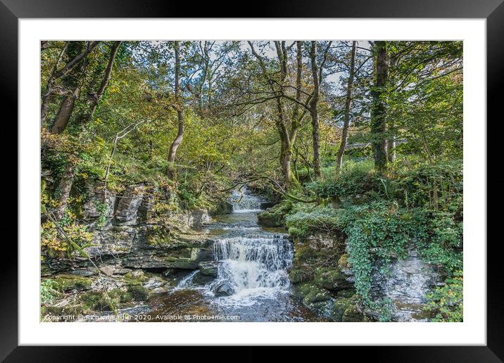 Cray Gill, Wharfedale, Yorkshire Dales Framed Mounted Print by Richard Laidler