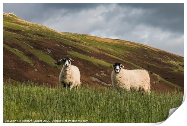 Swaledales and Kisdon Hill Print by Richard Laidler