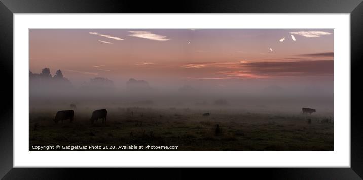 Mist on the marshes. Framed Mounted Print by GadgetGaz Photo