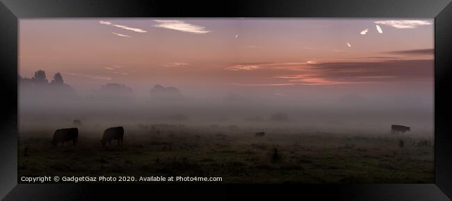 Mist on the marshes. Framed Print by GadgetGaz Photo