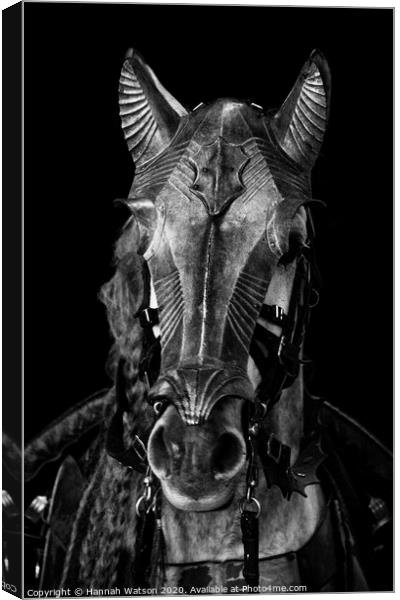 Knight's Horse Canvas Print by Hannah Watson